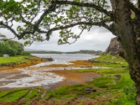 Isle of Skye, Dunvegan Castle & Gardens